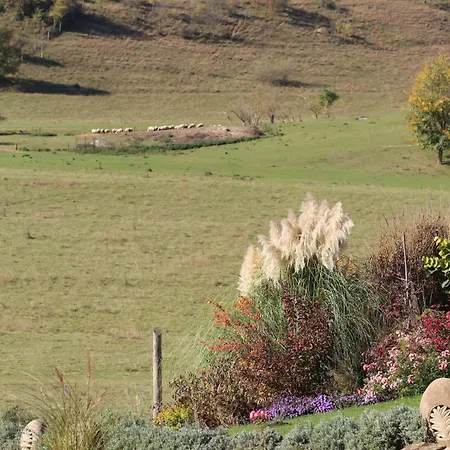 Lulla Cottage Vakantiehuis
