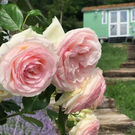 Lulla Cottage Casa vacanze